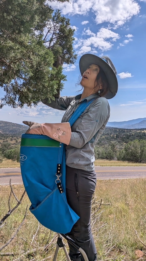 Molly Cummings in a stylish hat carries a blue bag to harvest juniper berries, looking cheerful in the Davis Mountains.