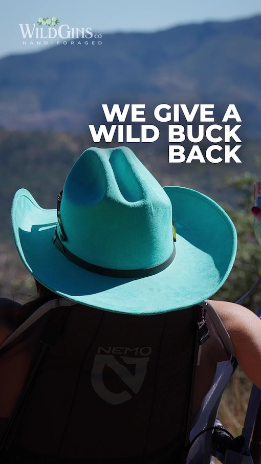 A cheerful moment showing a person returning a wild buck to its natural habitat, highlighting wildlife protection. Give a Wild Buck WildGins donation campaign image with Molly Cummings in Hat looking at the Davis Mountains