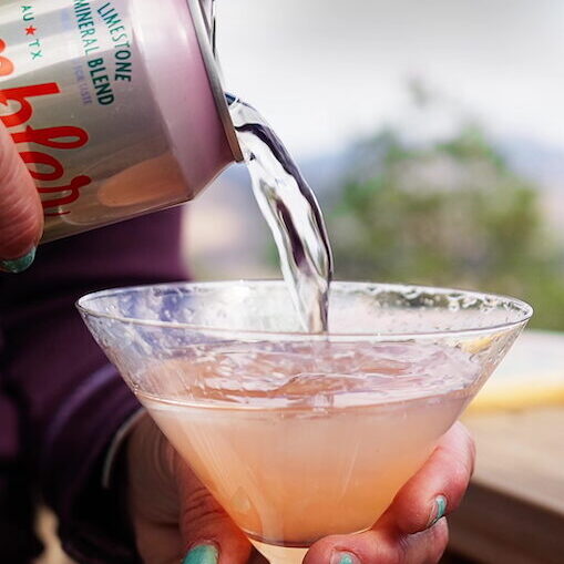 WildGins WildJune Western Style Cocktail