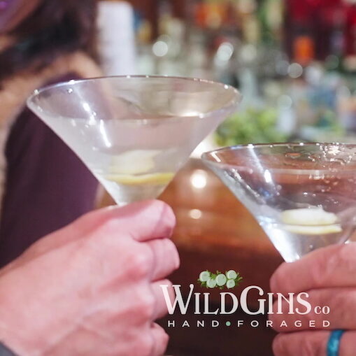 WildGins WildJune Western Style Cocktail