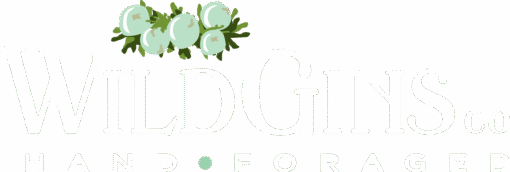 WILDGINS-Logo_white_RGB