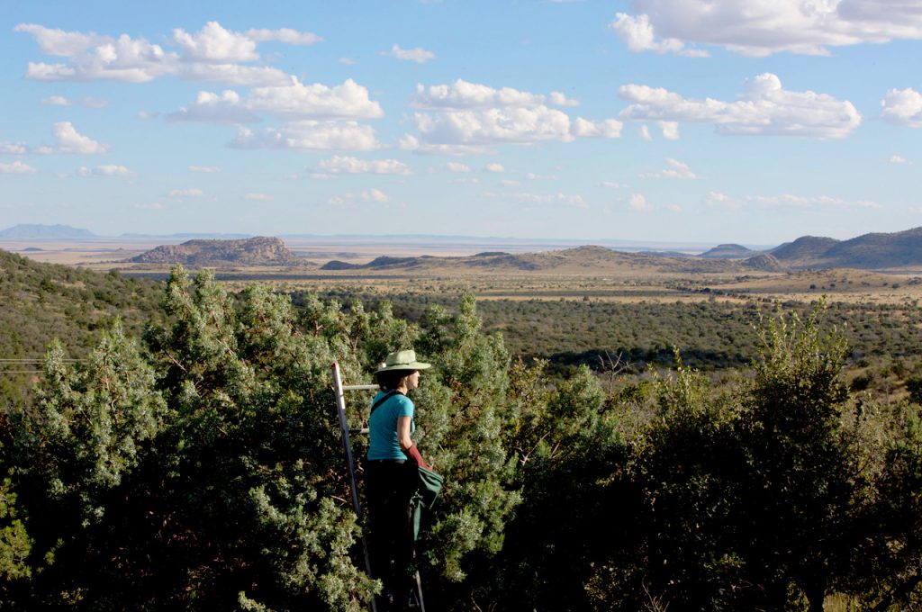 home-davis-mountains