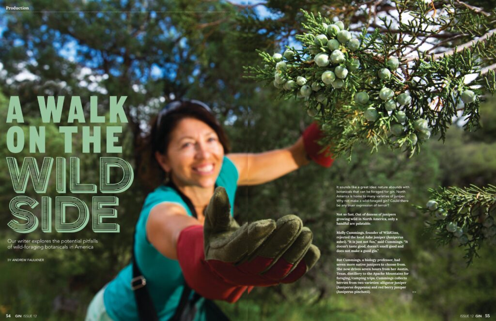 GinMagazine_Andrew_Faulkner_TitlePages_Nov2020