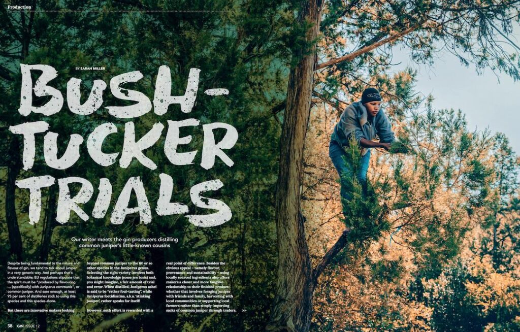 GinMagazine_Sarah_Miller_TitlePages_Nov2020 Small