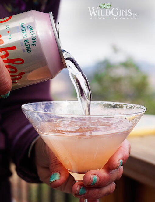 WildGins WildJune Western Style Cocktail
