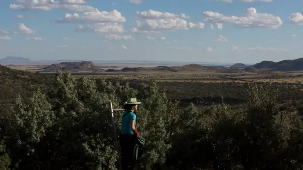 wild-gins-axios-austin-spirits-2022