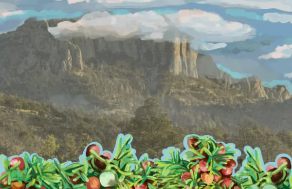 wild-gins-good-beer-hunting-2023