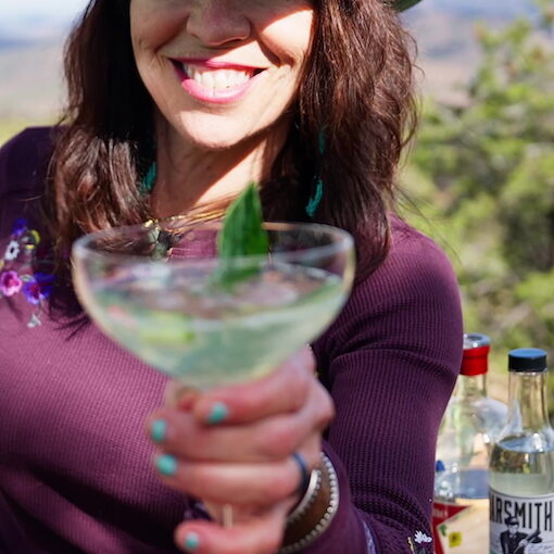 WildGins WildJune Western Style Cocktail