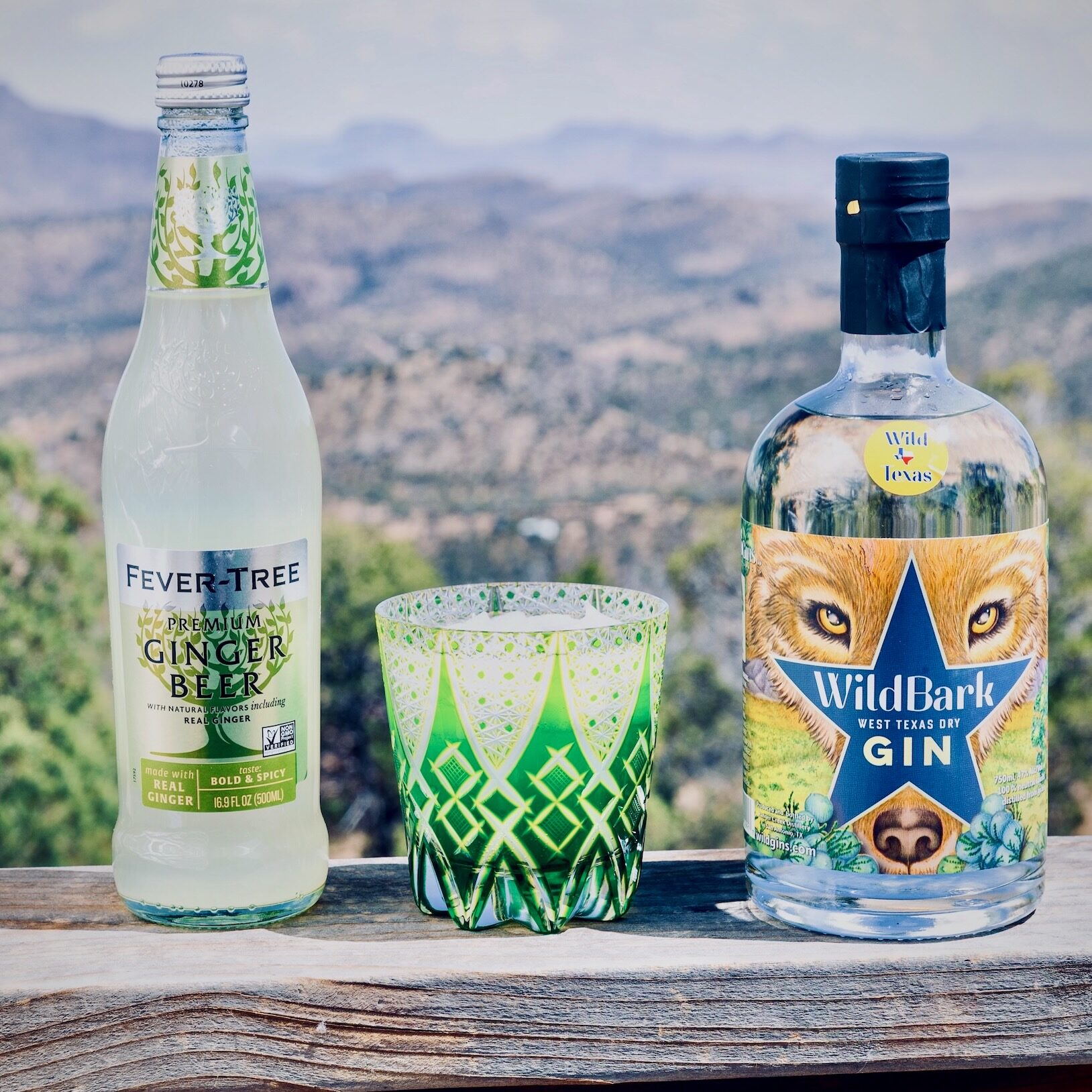 FORT DAVIS, TEXAS - APRIL 22, 2026 - Wild Gins Co. and Molly Cummings.