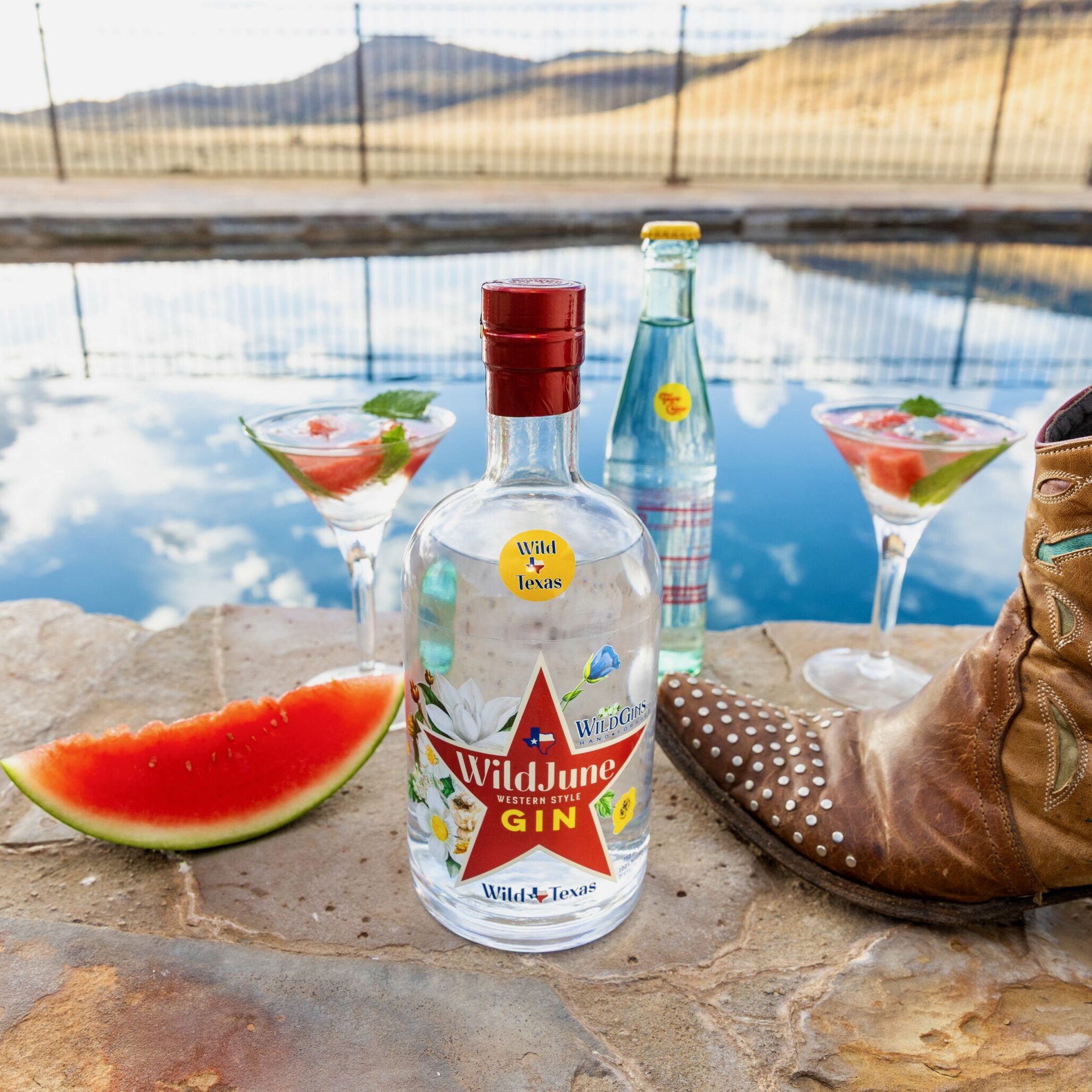 Wild Gins Co. and Molly Cummings
